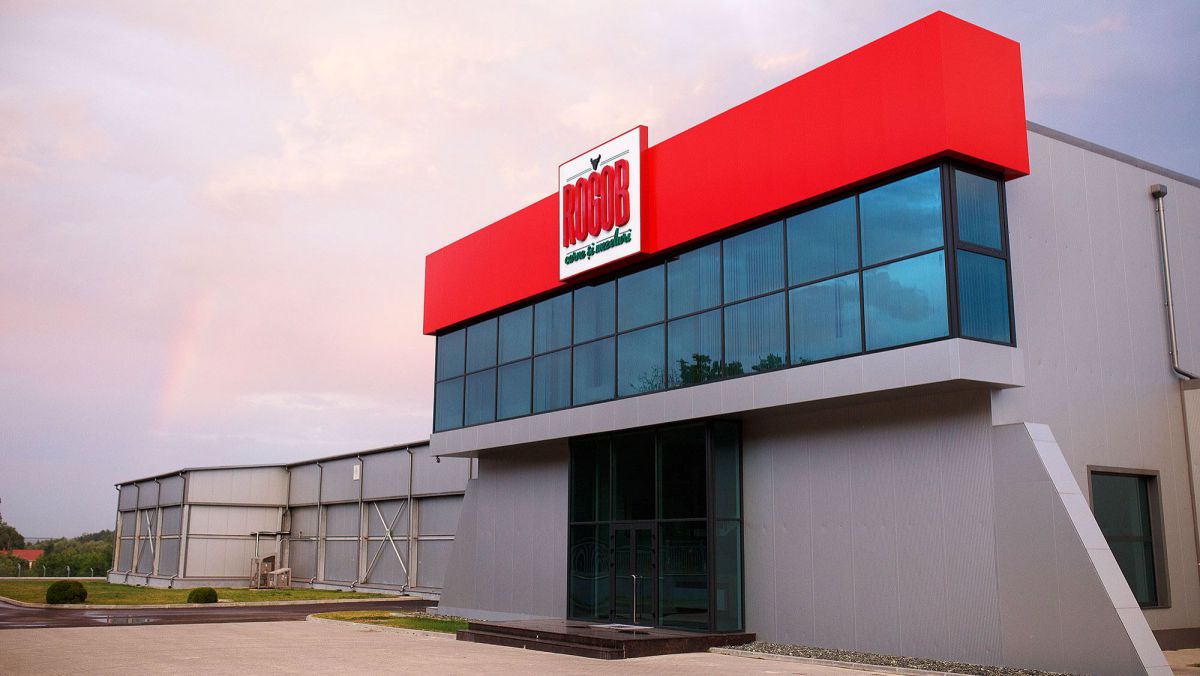 Modernizarea infrastructurii IT la Rogob